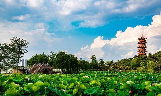 徐州7处免费景点全攻略：从云龙湖到淮海战役纪念塔