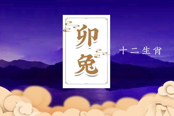 属兔人的性格特征：温柔善良与精明灵活的完美结合