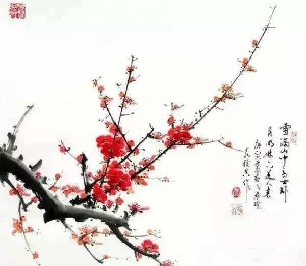 国画梅花的各种画法，很全了