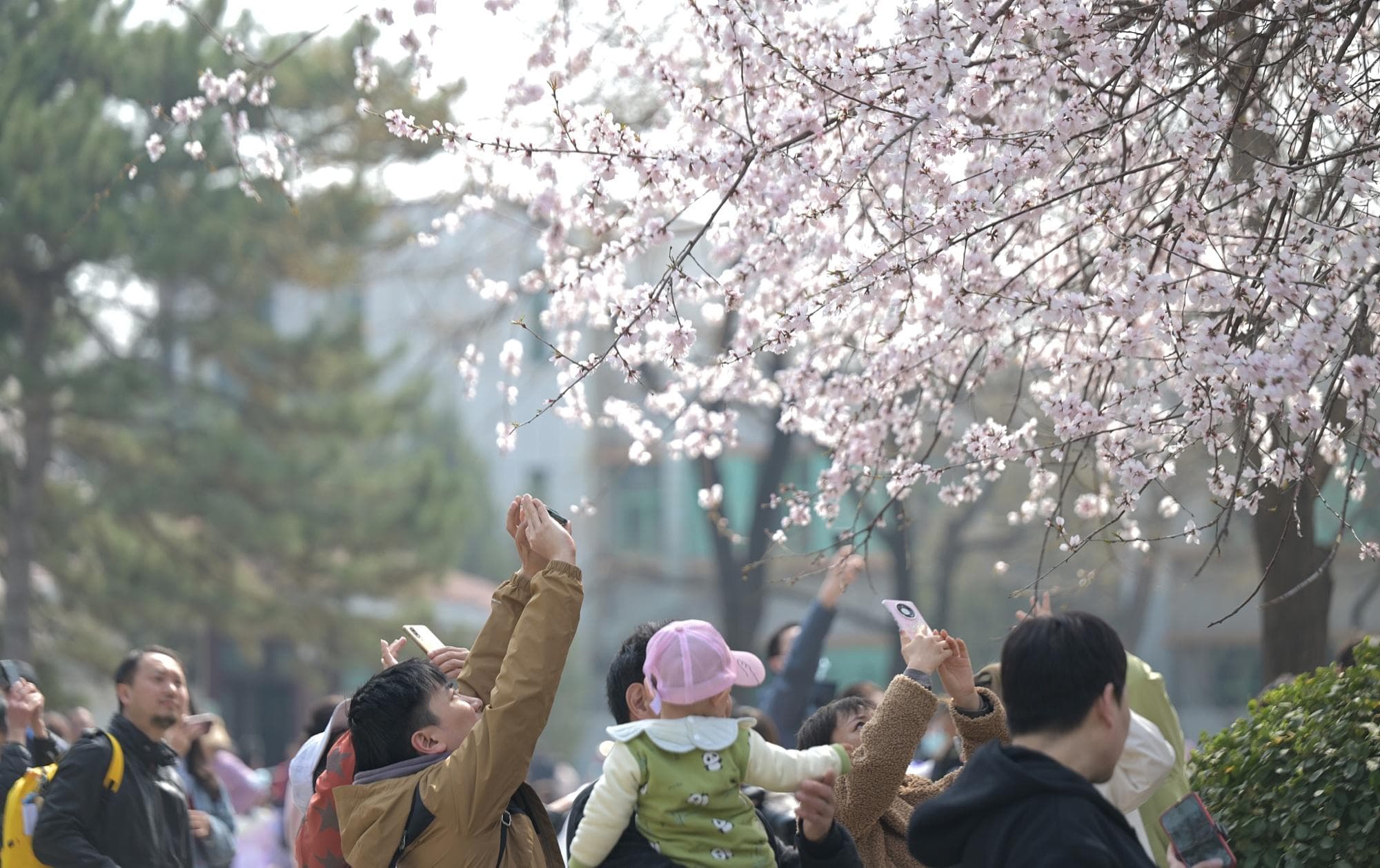 4月气候趋势预测：全国大部气温偏高 华南地区入汛在即