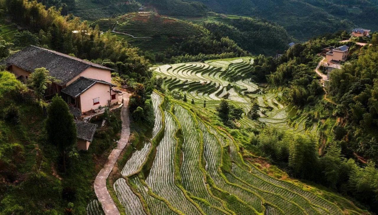 解锁桃源梯田的振兴密码