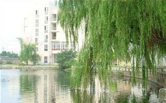高一物理力学-动量定理的概念、公式与使用注意事项