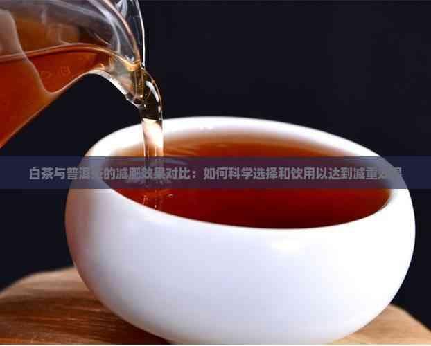 白茶与普洱茶的减肥效果对比：如何科学选择和饮用以达到减重效果