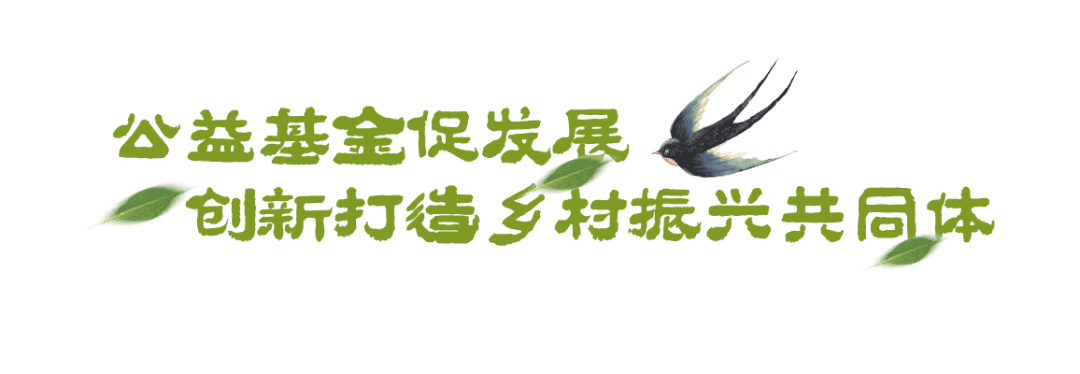 美丽乡村蝶变记｜公益基金、村企合作，资本“下乡”打出乡村振兴“组合拳”