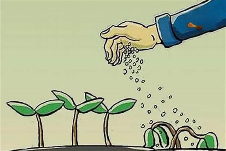 揭秘伪劣农药：简易直观识别技巧