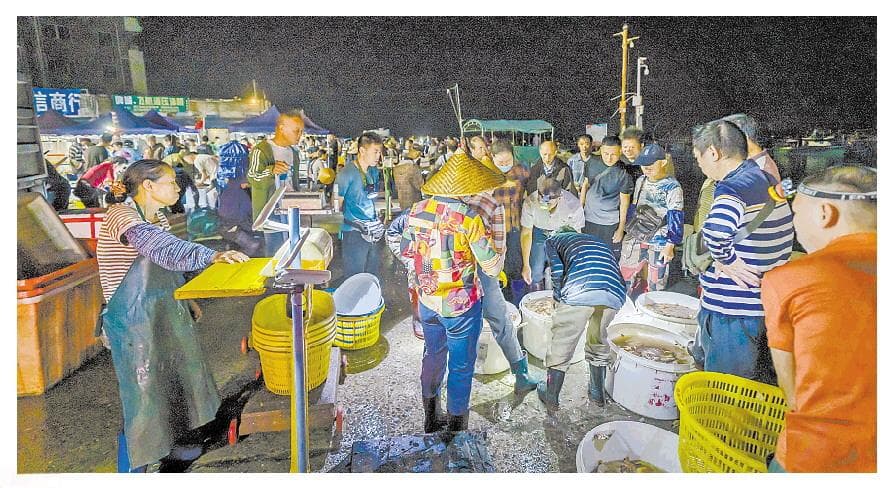 博贺天光鱼市 向海兴千年