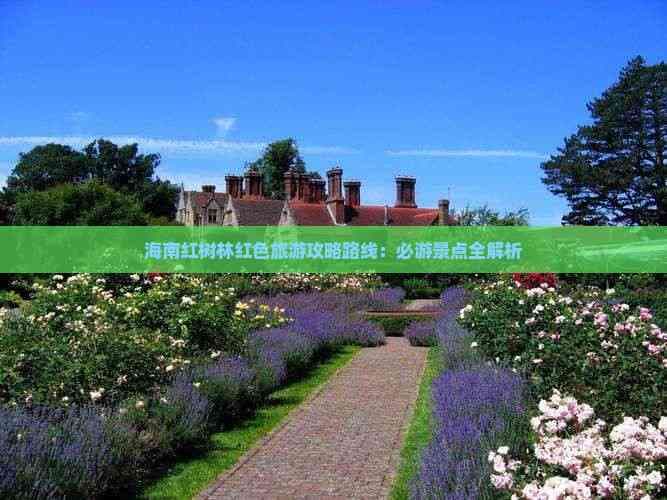 海南红树林旅游攻略：必游景点全解析