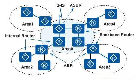 OSPF协议详解：多区域、Router ID与邻居关系建立