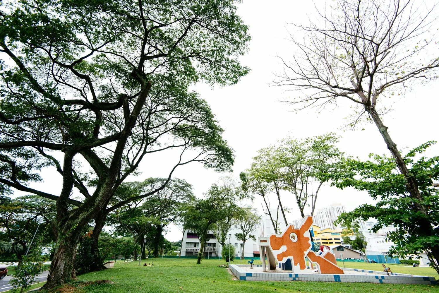 大洲村：美丽乡村的治理秘籍