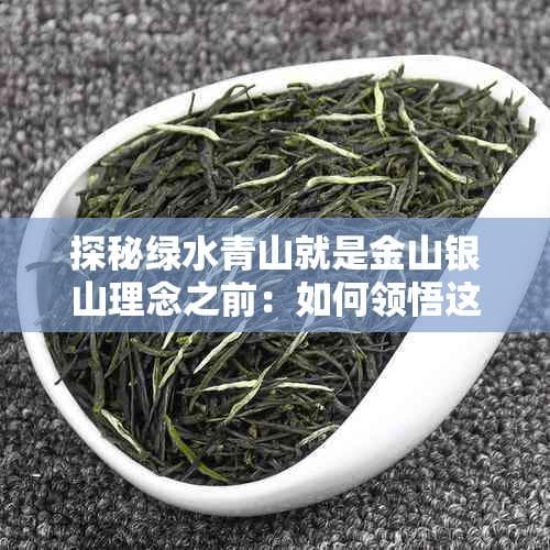 探秘绿水青山就是金山银山理念之前：如何领悟这句话的深刻内涵