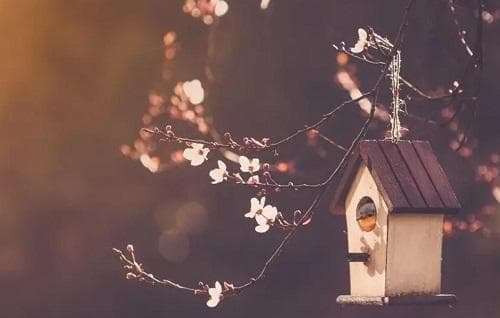 己土生于各月详解：己土生于各月喜用取用神详解