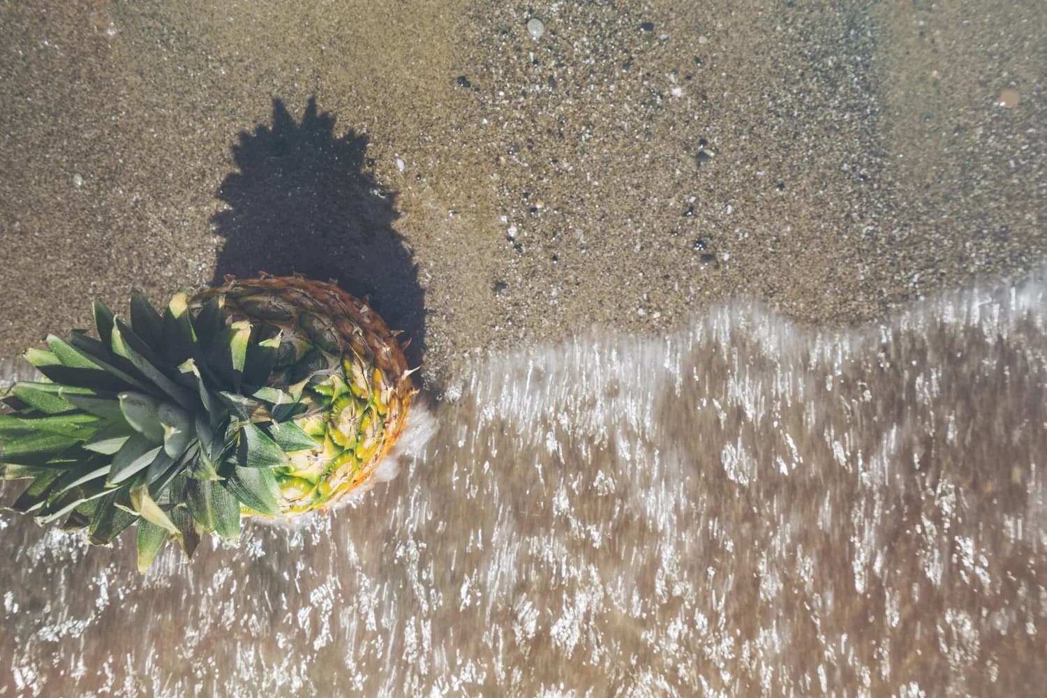 冬季打卡徐闻：菠萝的海不可错过！