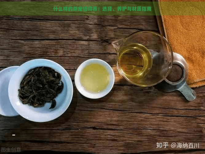 什么样的茶宠值得养：选择、养护与材质指南