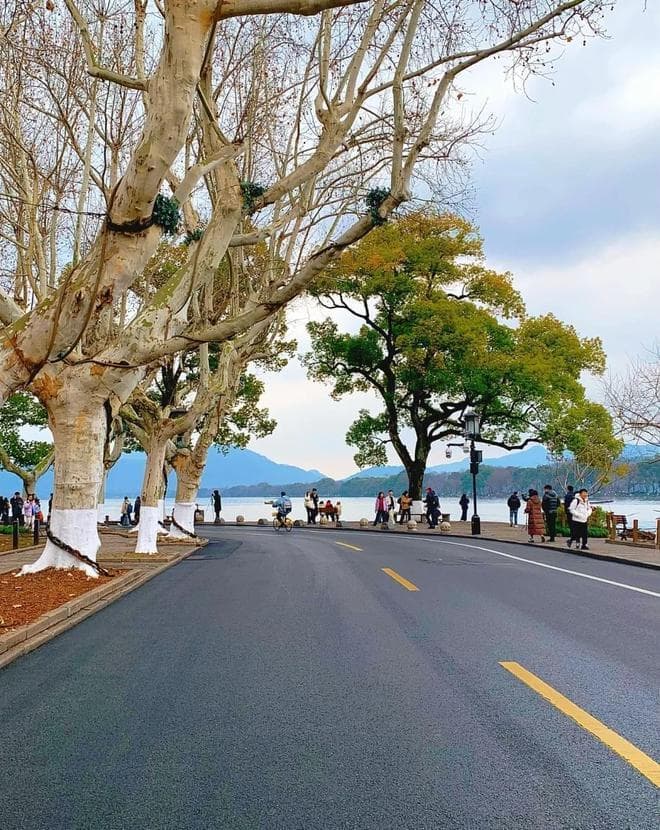 杭州旅游怎么规划路线，杭五天自由行游玩攻略，省钱篇