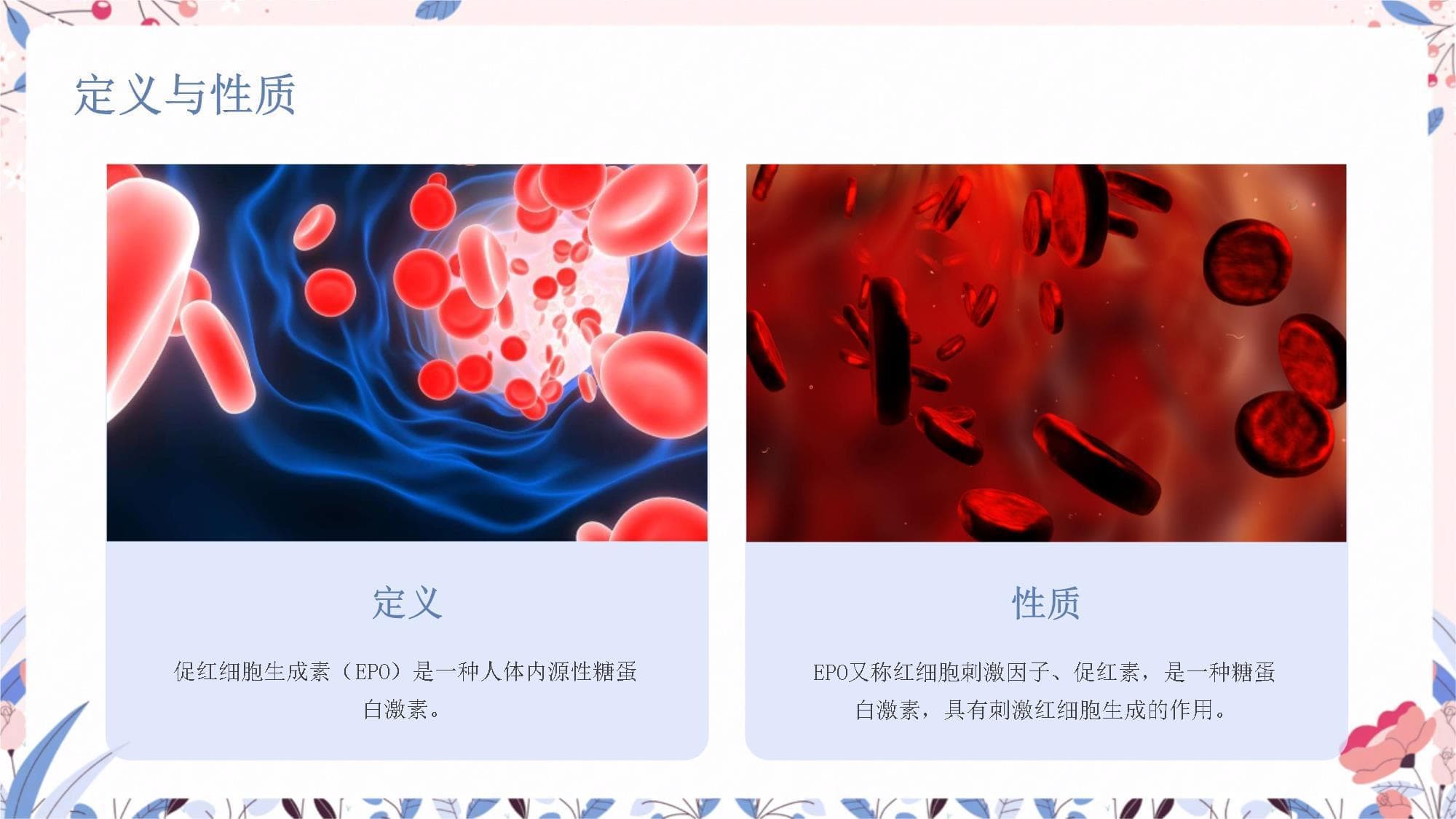 促红细胞生成素与临床