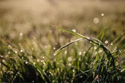 化忌是命宫的使命：紫微斗数中的四化与人生轨迹