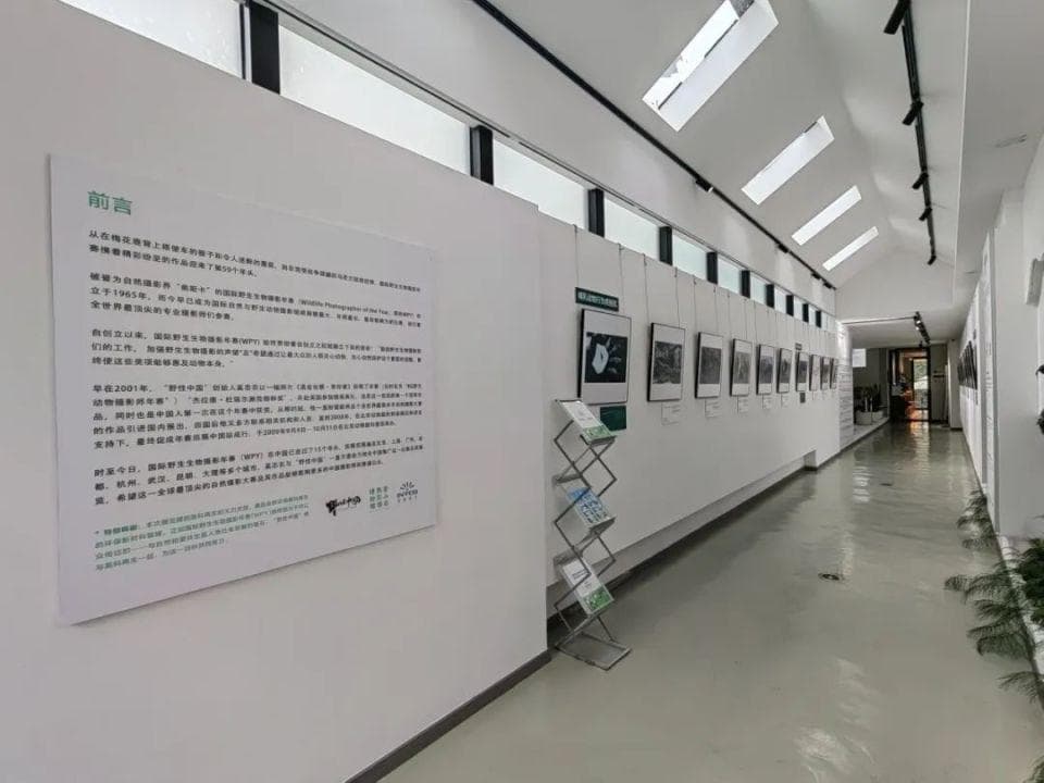 第59届国际野生生物摄影年赛获奖作品巡展大理站开幕