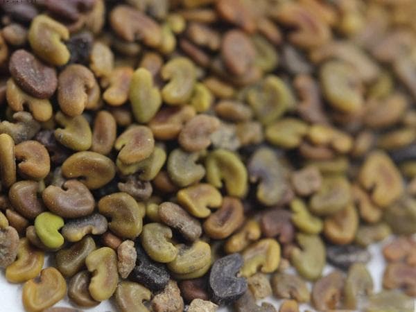 紫云英种子种植指南：从选种到养护的全过程详解