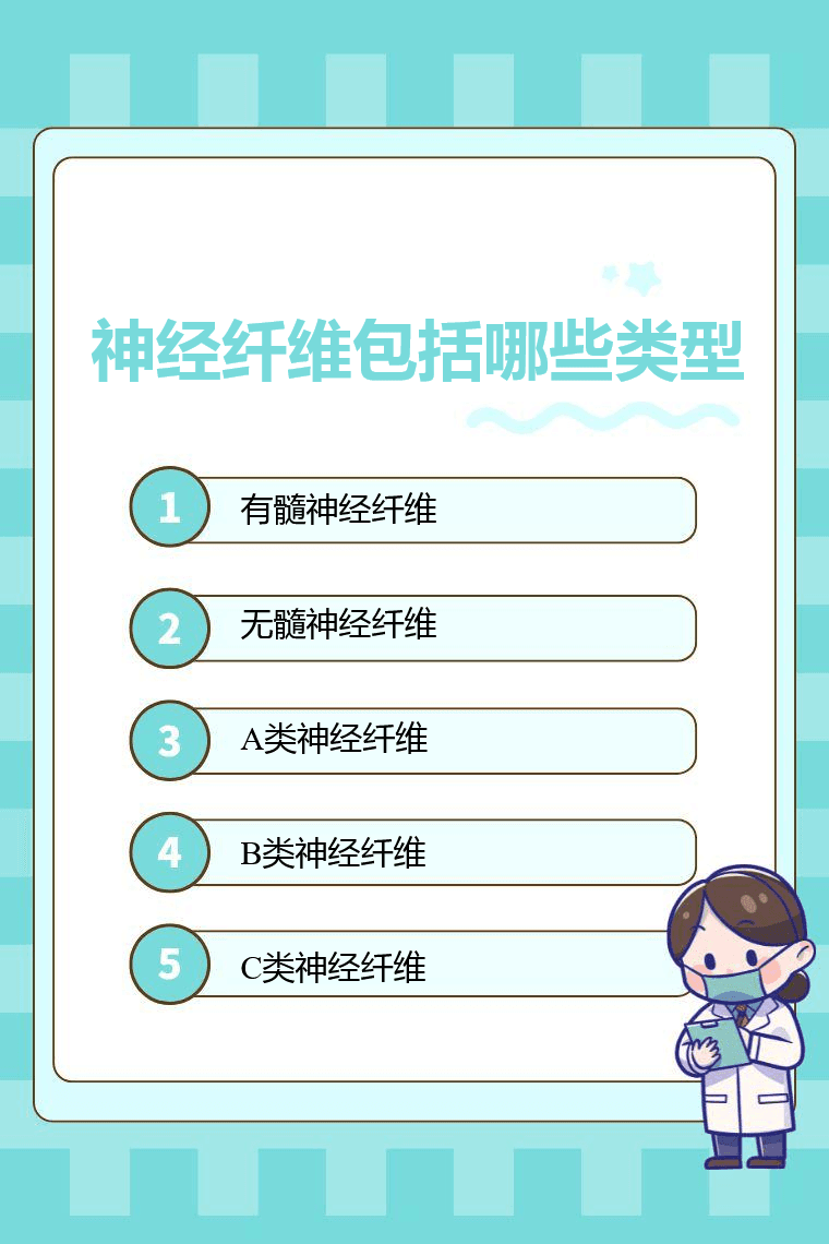 神经纤维包括哪些类型