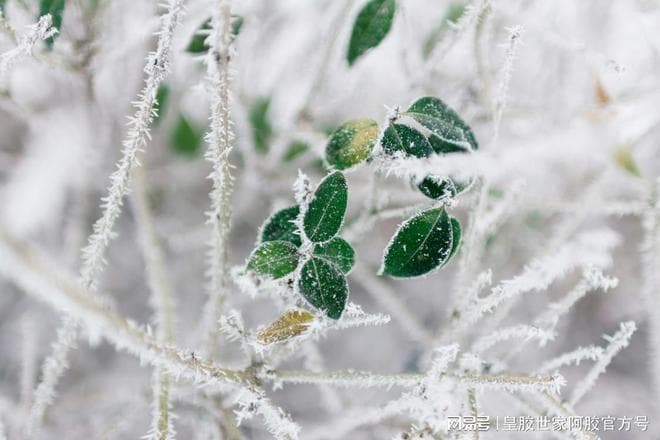 秋冬交替：解锁季节变换的健康密码