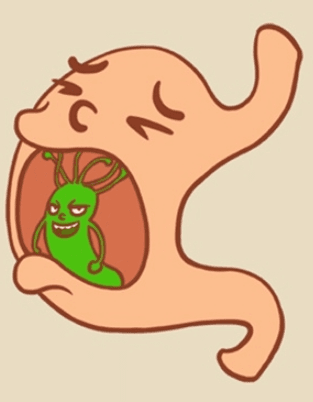 守护胃健康——幽门螺旋杆菌的预防和治疗