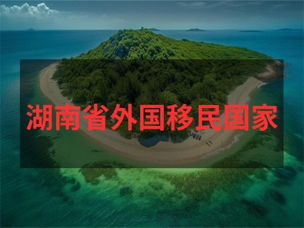 美国绿卡入境香港政策停留天数与海关申报避坑指南