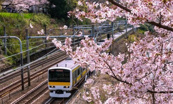 日本生活|公共交通:火车和公共汽车导航