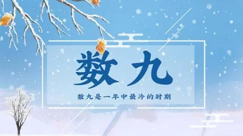 数九歌古诗全文 一九二九三九顺口溜