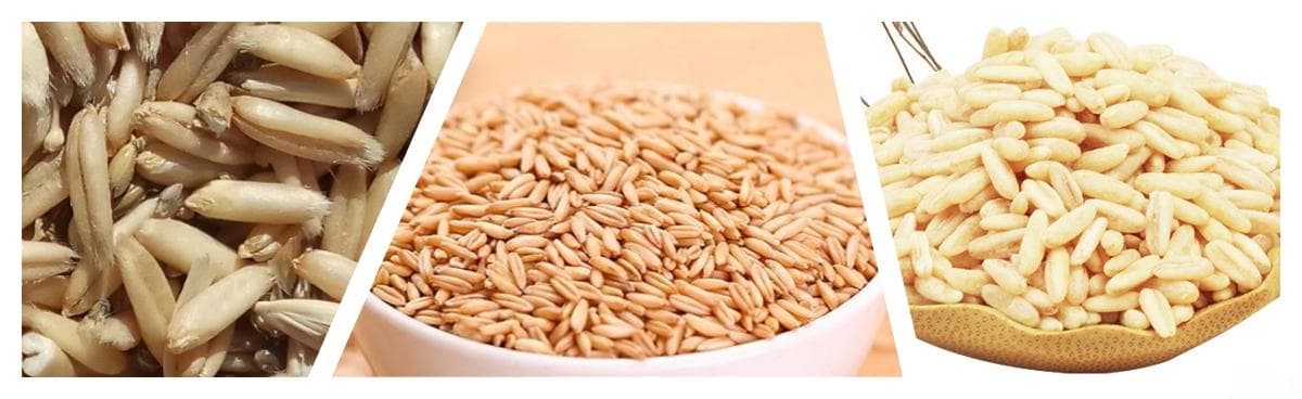 燕麦仁米与全胚芽燕麦米有什么区别？