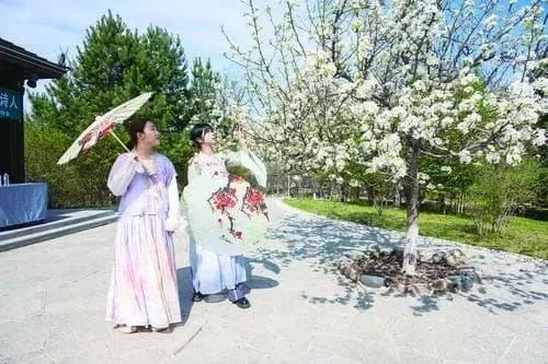 六大主题 10余条线路 玩转长春 解锁“五一”游玩攻略