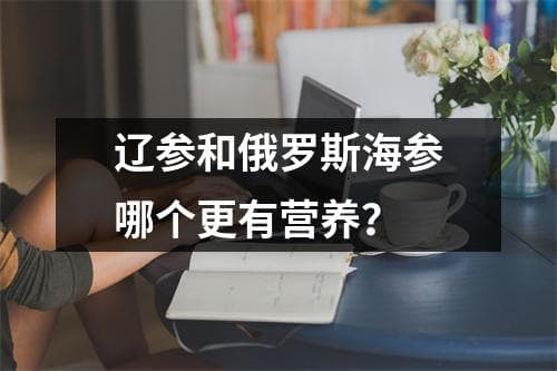 辽参和俄罗斯海参哪个更有营养？