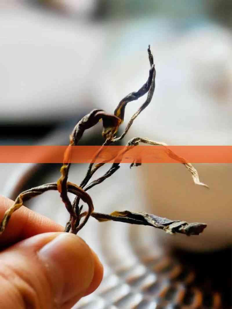 有效抑制食欲的茶饮推荐