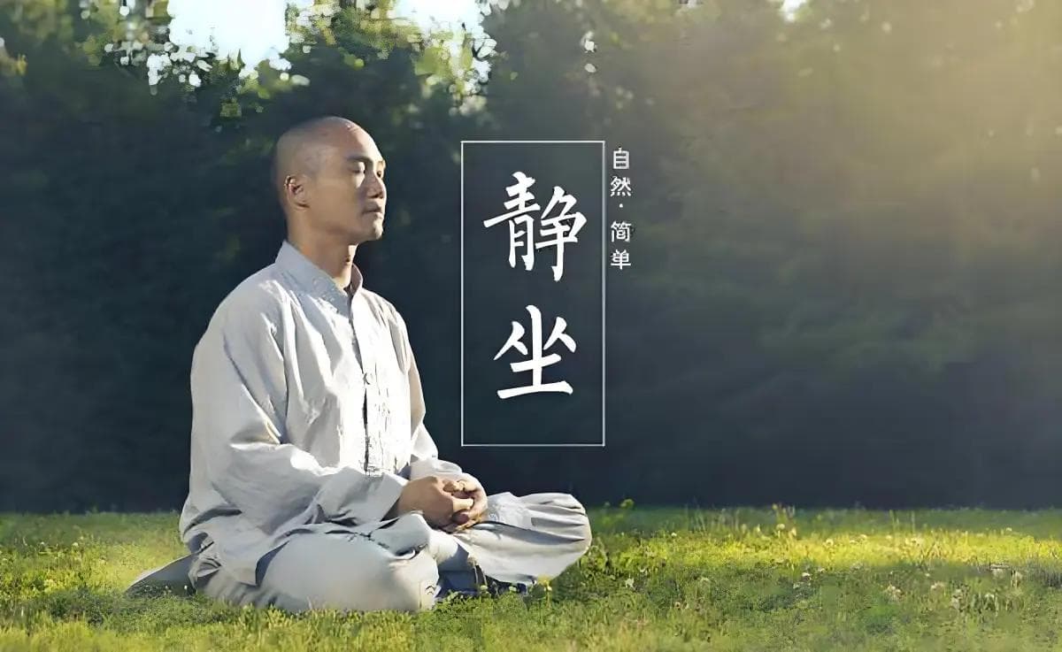 动静结合调阴阳：中医养生的科学指南