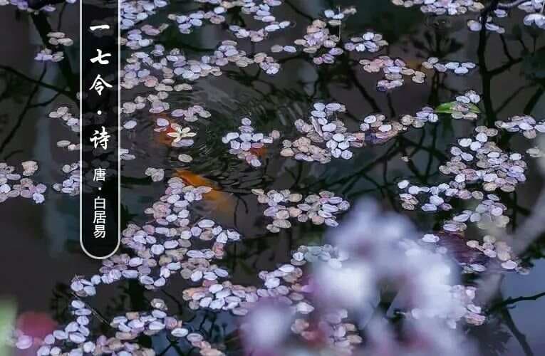 白居易《一七令·诗》赏析：宝塔诗中的诗论