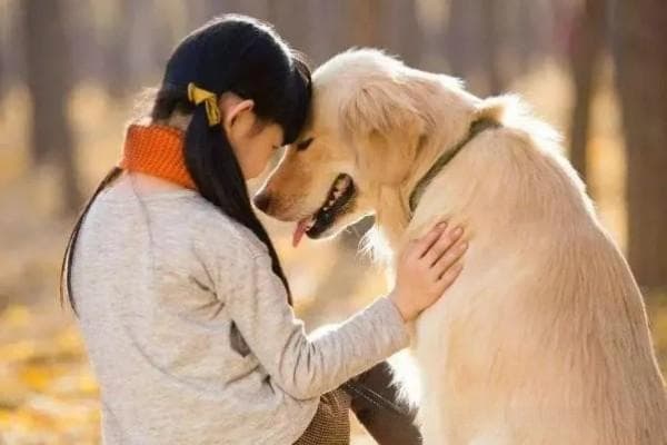 α-酮戊二酸AKG：宠物狗健康的新守护者
