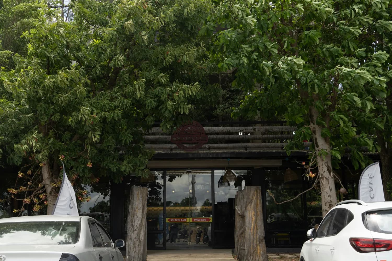 普洱漫崖咖啡博物馆：探索咖啡文明之旅