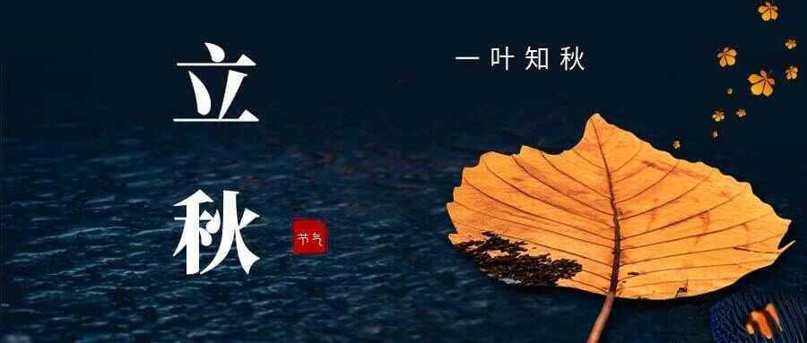 立秋：秋风起，丰收在望的季节序幕