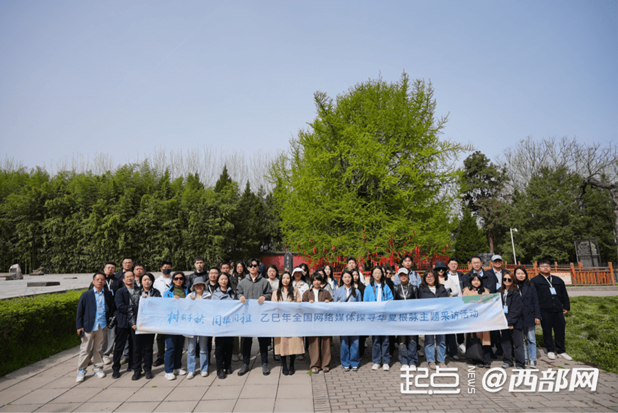 千年古树见证文明传承 陕西楼观台创新举措守护“绿色活化石”