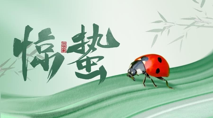 惊蛰：古老节气如何在现代焕发生机？