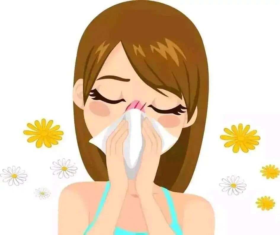 治疗过敏性鼻炎的 6 种中成药全解析