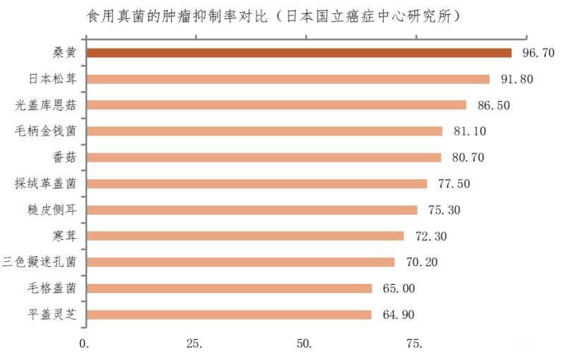 《现代整合医学应用与临床指南》：桑黄的科学应用与临床价值