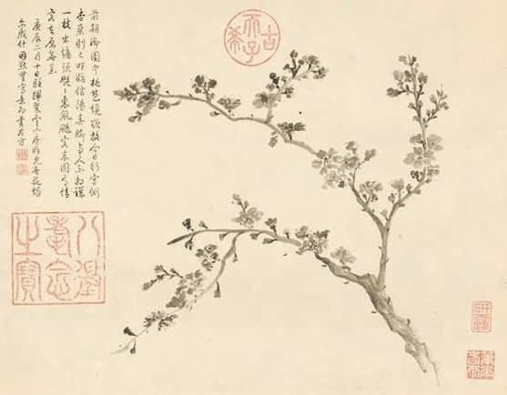 杏月时节赏芳树
