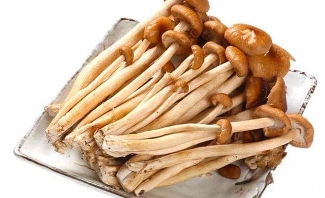 茶树菇怎么保存？这些好方法用过吗？