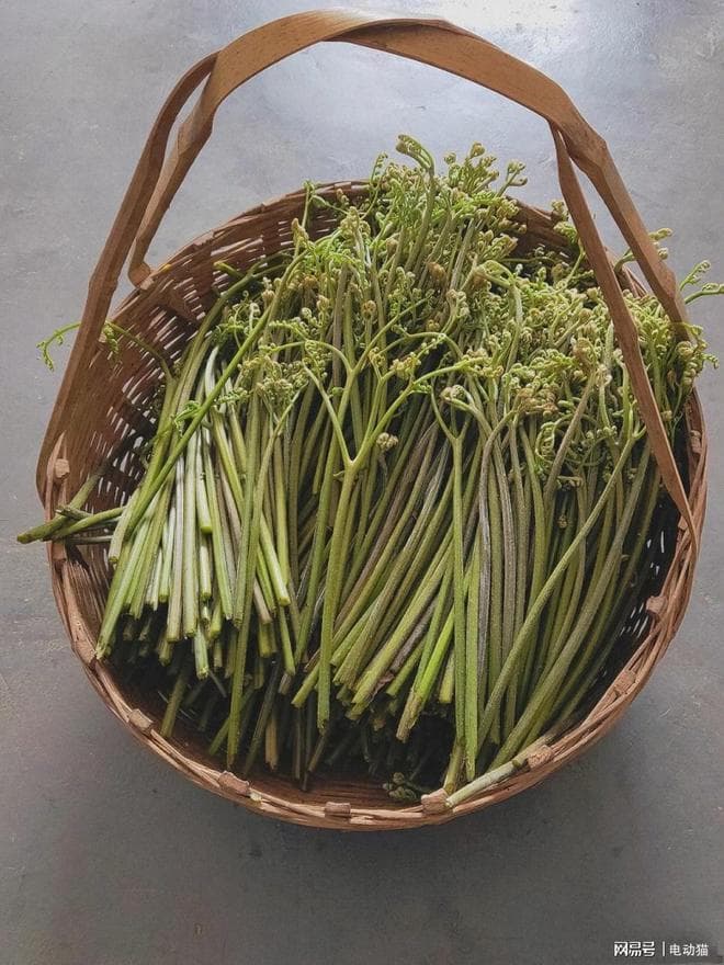 春日野菜安全食用指南