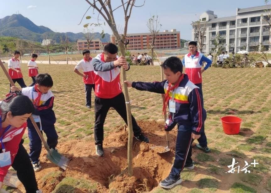 信宜：绿美春风进校园，师生共“树”未来