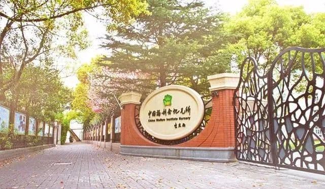 沪上9所“中福会系”幼儿园盘点5所示范园
