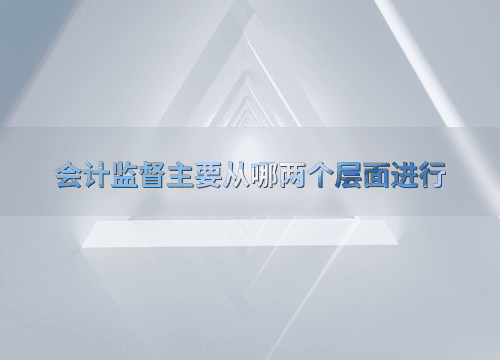 会计监督主要从哪两个层面进行