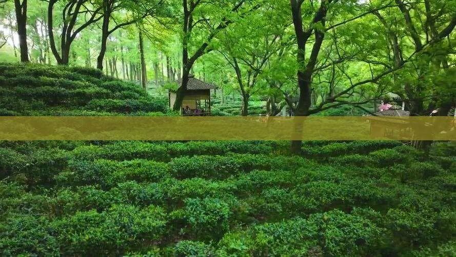 畅游风情柳州，探秘美丽新疆——柳州至新疆深度旅游攻略