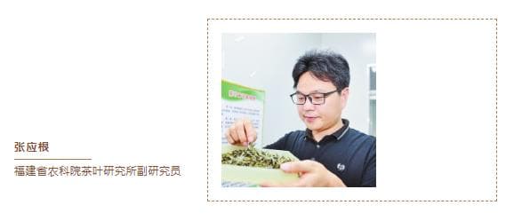 【此茶怎讲】“闷”白茶，99%的人忽略了这6点！