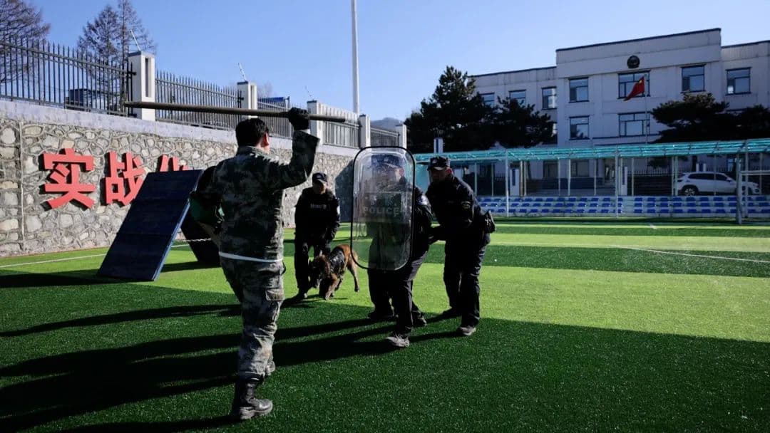 秋季大练兵丨人犬携手，铸就钢铁防线——和龙市公安局警犬基地实战化训练纪实